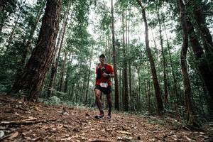 BIB: 
                            <button type="button" onclick="openModal(25261381)" class="btn btn-primary btn-sm float-right btn-popup" data-toggle="modal" data-target=".modal-high-quality">
                        <i class="fas fa-shopping-cart"></i> Add to Cart
                    </button>
                                            <button type="button" onclick="isThisMe(25261381, true)" class="btn btn-success btn-sm float-right btn-popup btn-isme hidden" data-toggle="tooltip" data-placement="bottom" title="นี่คือรูปของคุณใช่ไหม คลิกที่นี่เพื่อเอาเข้าอัลบั้ม">
                        <i class="fas fa-plus"></i> Add to album
                    </button>
                    <button type="button" onclick="isThisMe(25261381, false)" class="btn btn-warning btn-sm float-right btn-popup btn-isnotme hidden">
                        <i class="fas fa-ban"></i> Remove from album
                    </button>